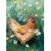 HTML Tag H1: “Village Hen” – Original Oil Painting by Marina Stognieva